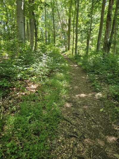 Laurel Woods Trail - Landenberg, PA