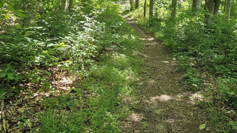 Laurel Woods Trail - Landenberg, PA