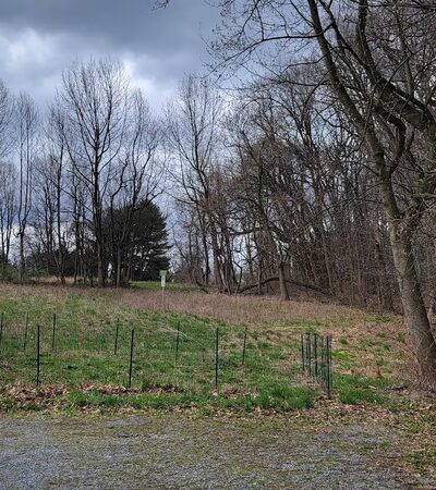 Laurel Woods Trail - Landenberg, PA
