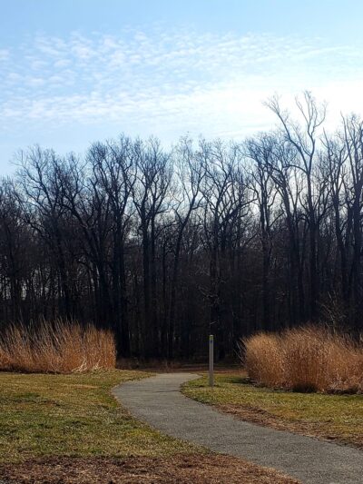 Mason Dixon Greenway South - Landenberg, PA