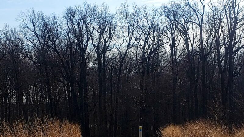 Mason Dixon Greenway South - Landenberg, PA
