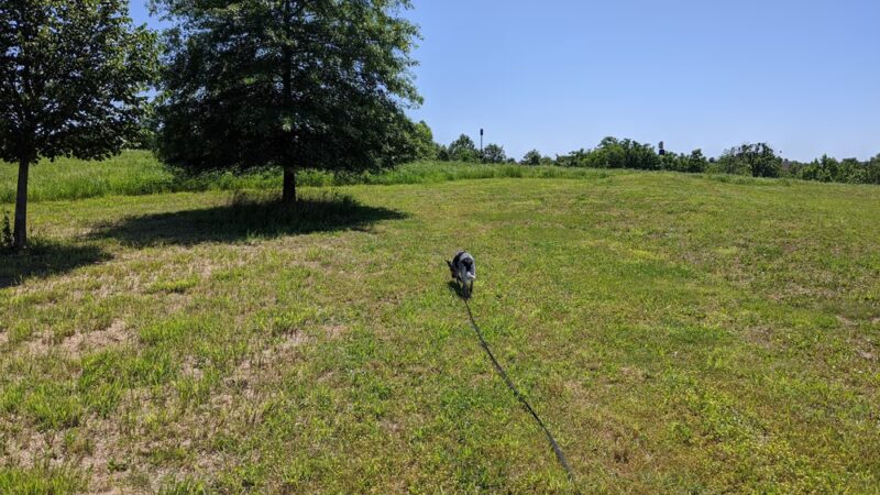 Mason Dixon Greenway South - Landenberg, PA