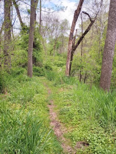 Mill Race Trail - Landenberg, PA