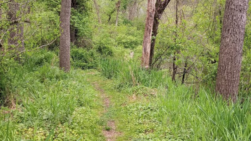 Mill Race Trail - Landenberg, PA