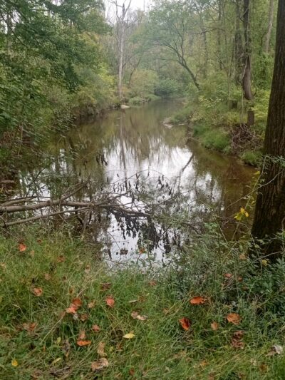 Mill Race Trail - Landenberg, PA