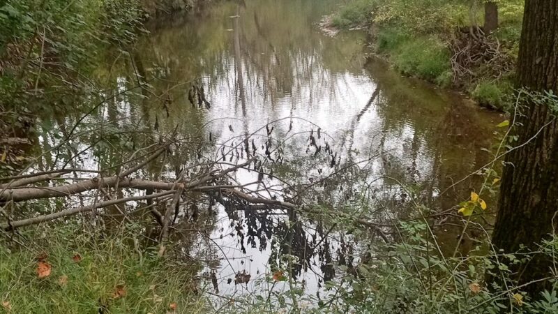 Mill Race Trail - Landenberg, PA