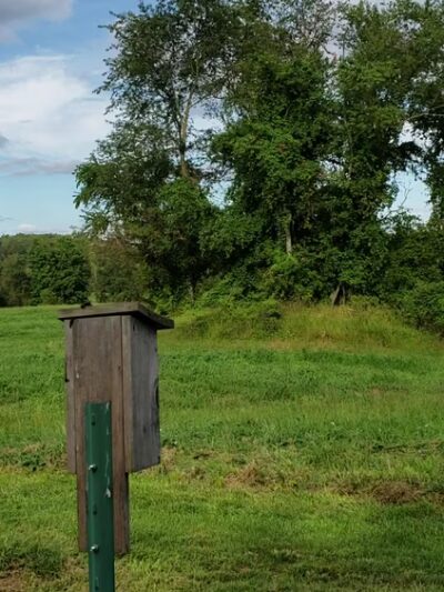 Natural Lands' Peacedale Preserve - Landenberg, PA
