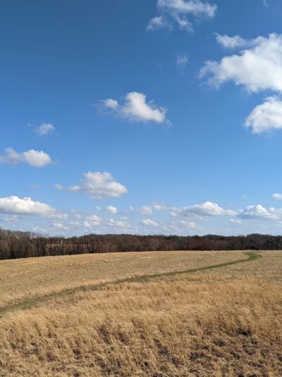 Natural Lands' Peacedale Preserve - Landenberg, PA