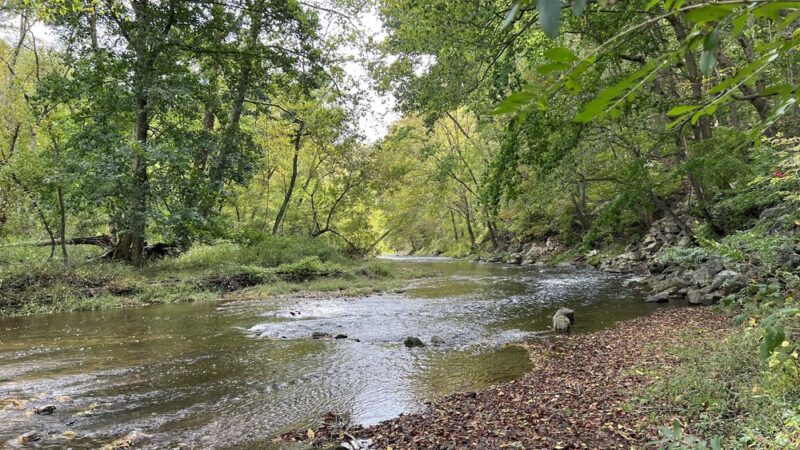 White Clay Creek Preserve - Landenberg, PA