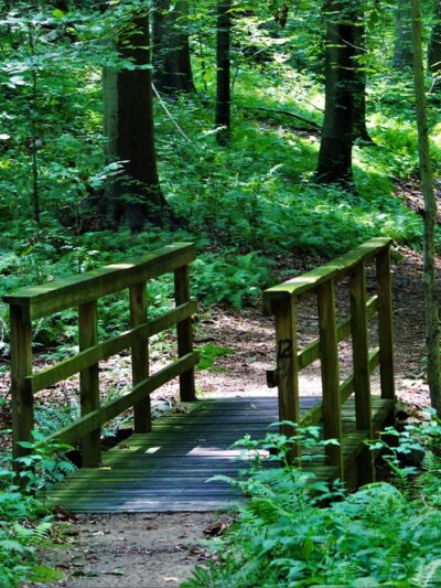 White Clay Creek Preserve - Landenberg, PA