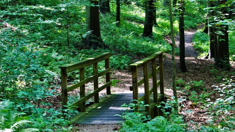 White Clay Creek Preserve - Landenberg, PA