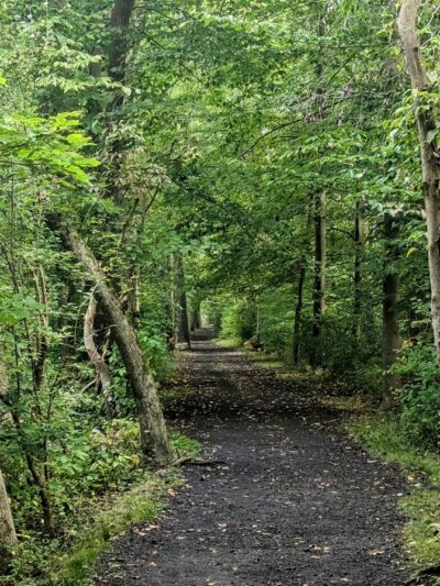 White Clay Creek Preserve - Landenberg, PA