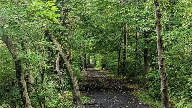 White Clay Creek Preserve - Landenberg, PA