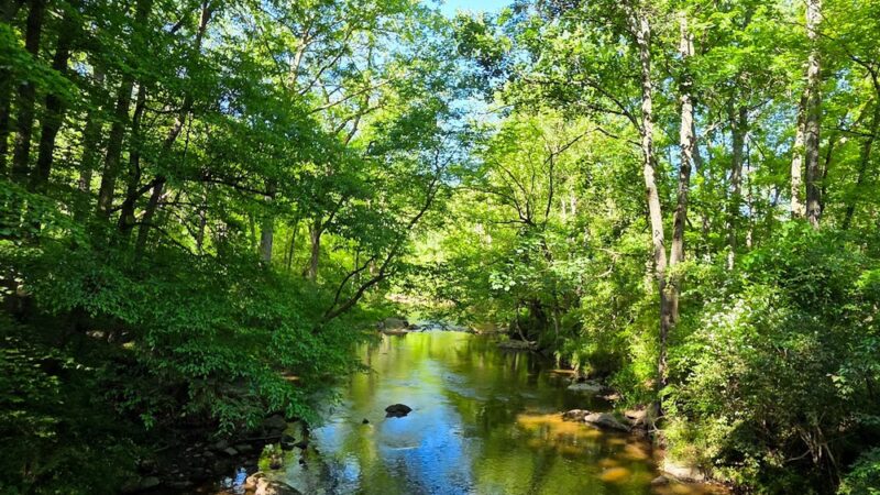 White Clay Creek Preserve Parking Lot #1 - Landenberg, PA