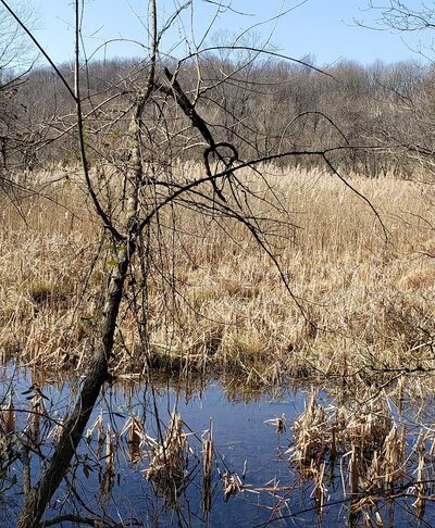 White Clay Creek Preserve Parking Lot #1 - Landenberg, PA