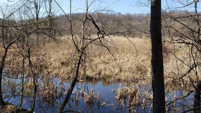 White Clay Creek Preserve Parking Lot #1 - Landenberg, PA