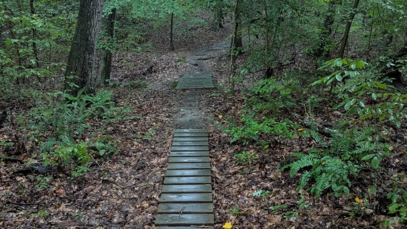 Wahrani Nature Trail - Lanexa, VA