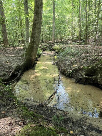 Wahrani Nature Trail - Lanexa, VA