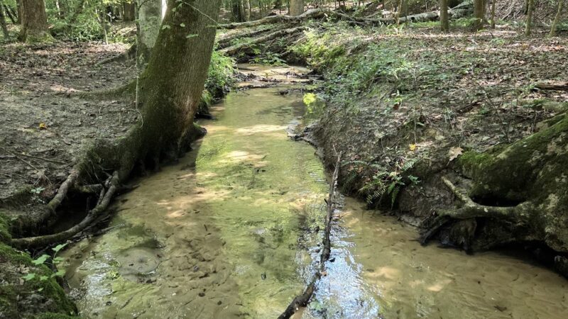 Wahrani Nature Trail - Lanexa, VA