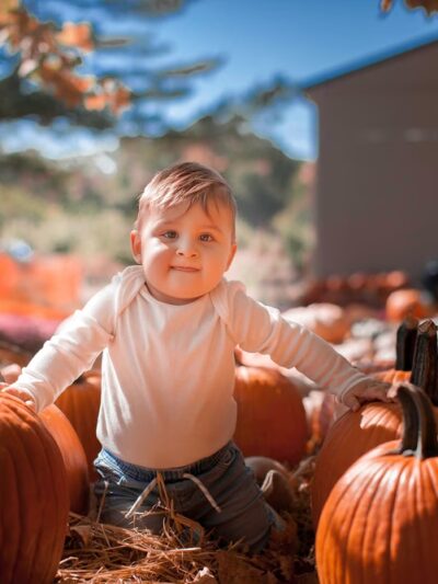 Styer Orchard Inc. - Langhorne, PA