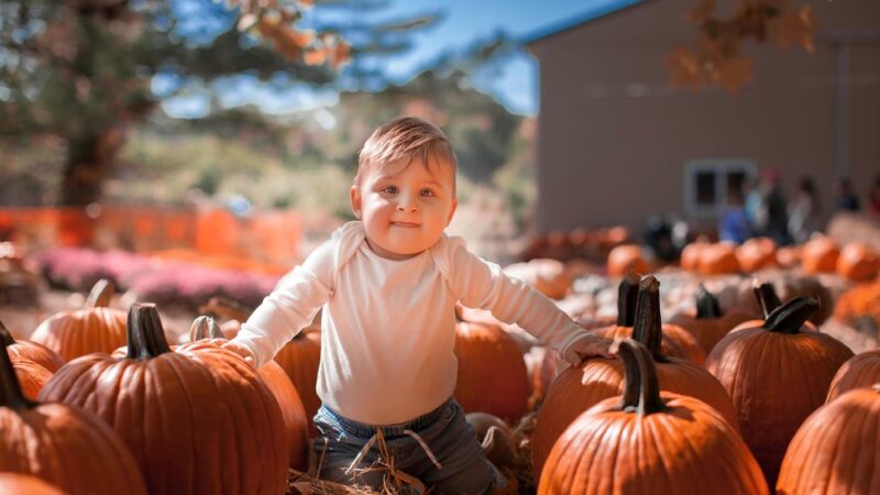 Styer Orchard Inc. - Langhorne, PA