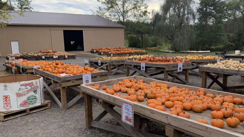 Styer Orchard Inc. - Langhorne, PA