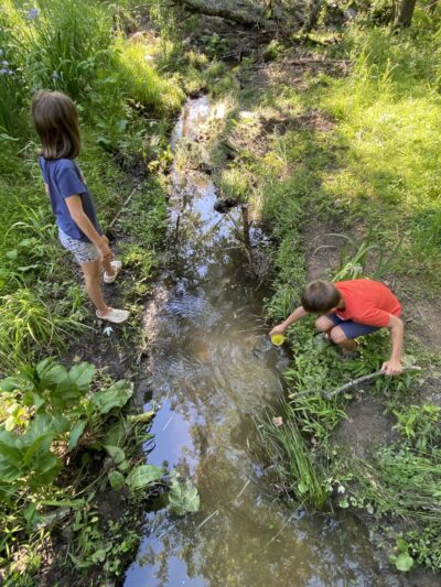 Catawissa Nature Preserve - Langhorne, PA