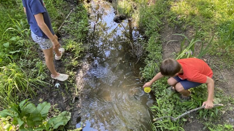 Catawissa Nature Preserve - Langhorne, PA