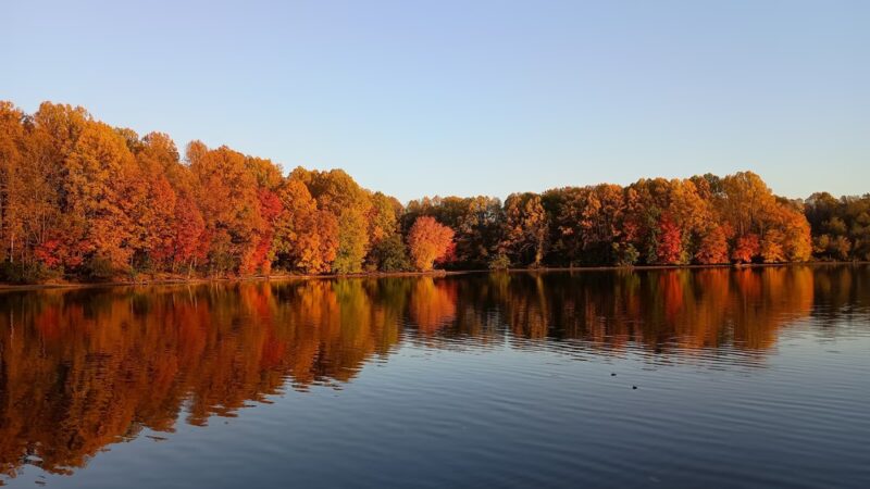 Core Creek Park - Langhorne, PA