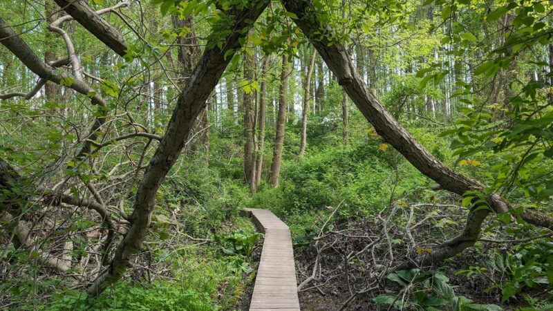 Core Creek Park - Langhorne, PA