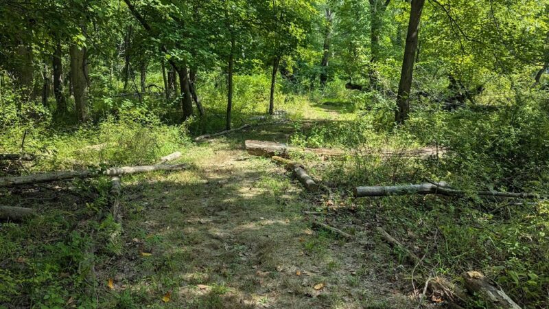 Langhorne Community Park - Langhorne, PA