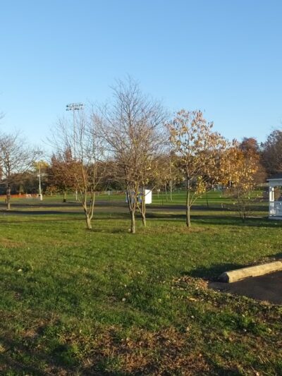 Middletown Community Park - Langhorne, PA