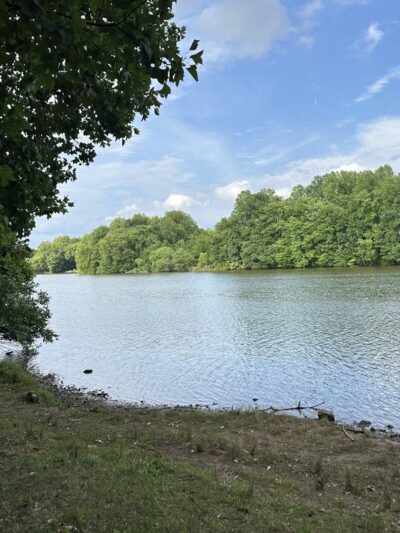 Park Pavilion #11 - Langhorne, PA