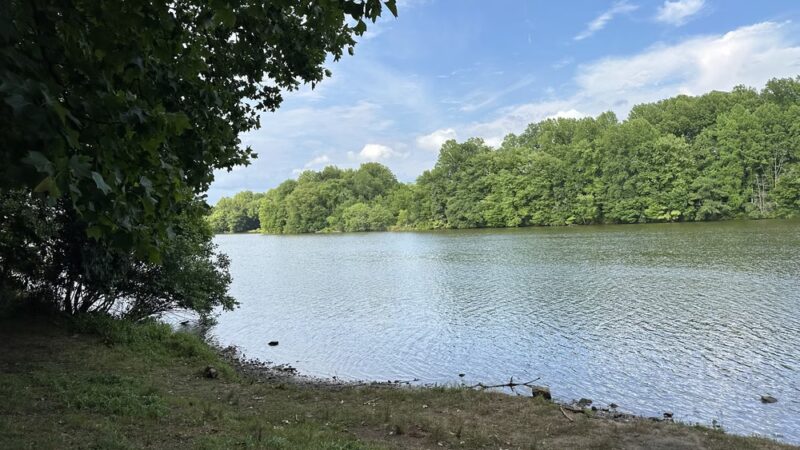 Park Pavilion #11 - Langhorne, PA