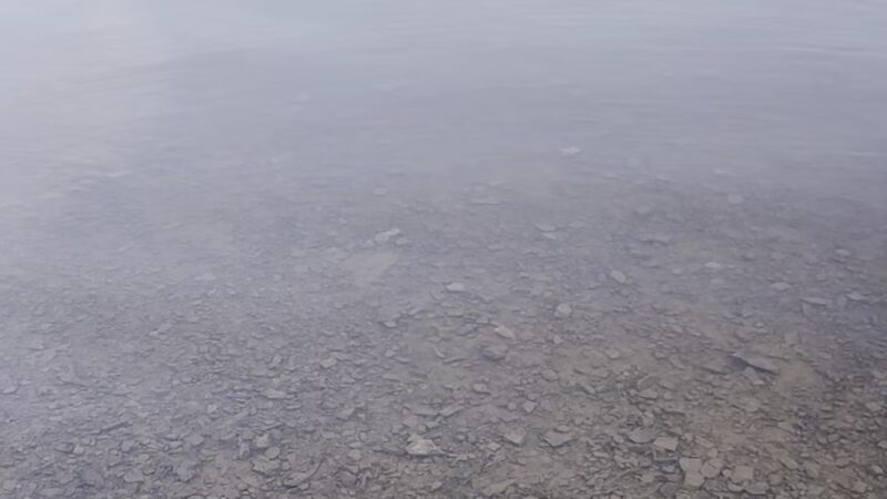 Park Pavilion #11 - Langhorne, PA