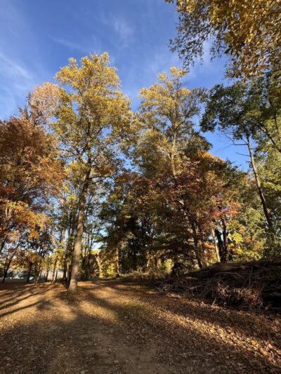 Park Pavilion #11 - Langhorne, PA