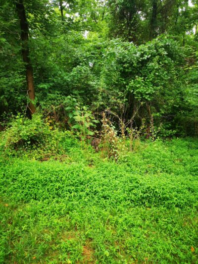 Park Pavilion #11 - Langhorne, PA