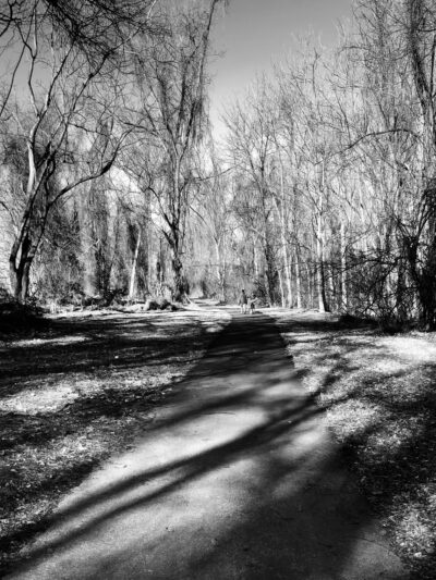 Park Pavillion#1 - Langhorne, PA