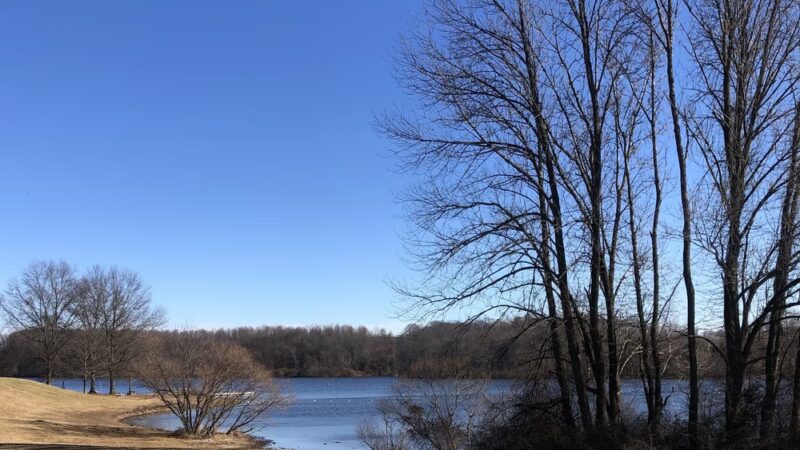 Park Pavillion#1 - Langhorne, PA