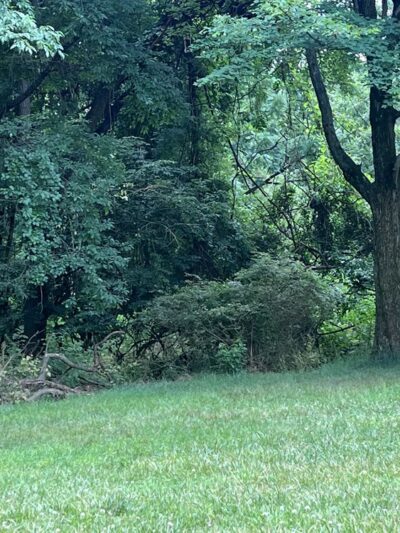 Park Pavillion#1 - Langhorne, PA