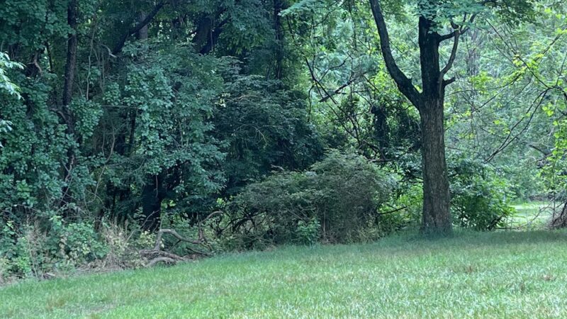 Park Pavillion#1 - Langhorne, PA