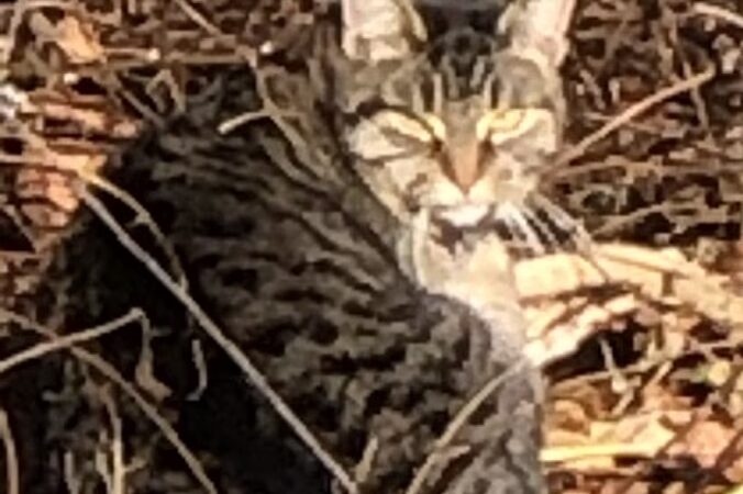 Park Pavillion#1 - Langhorne, PA