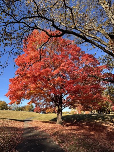 Pavilion 5 & 6 - Langhorne, PA