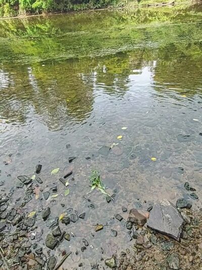 Playwicki Park - Langhorne, PA