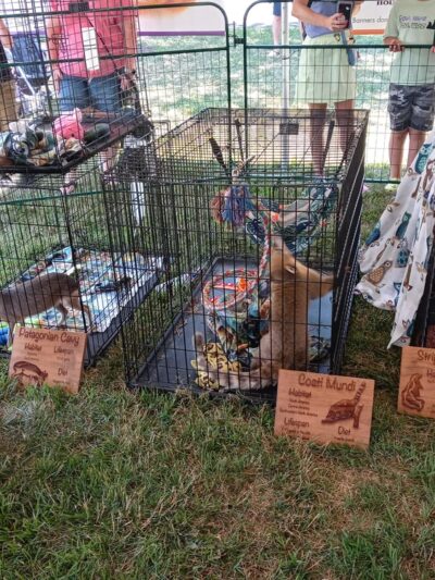 The Mayors Playground - Langhorne, PA