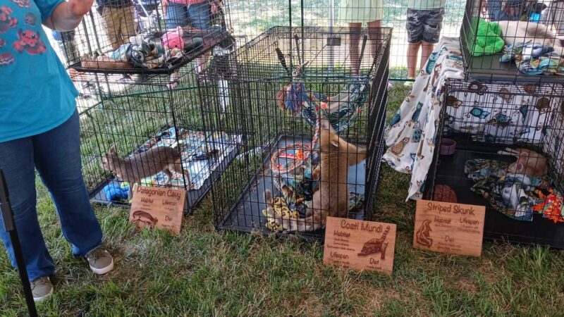 The Mayors Playground - Langhorne, PA