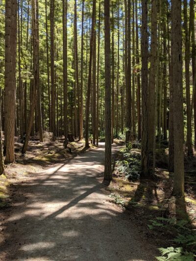 Trustland Trails - South Whidbey Parks & Recreation District - Langley, WA