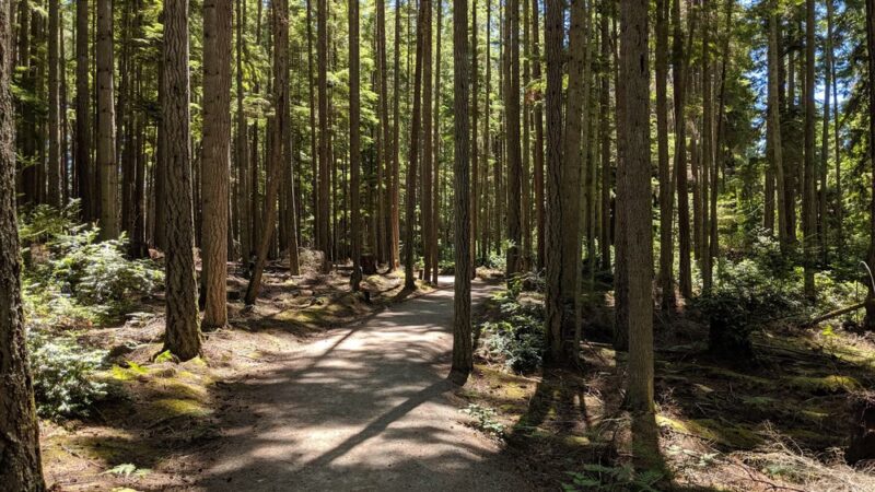 Trustland Trails - South Whidbey Parks & Recreation District - Langley, WA