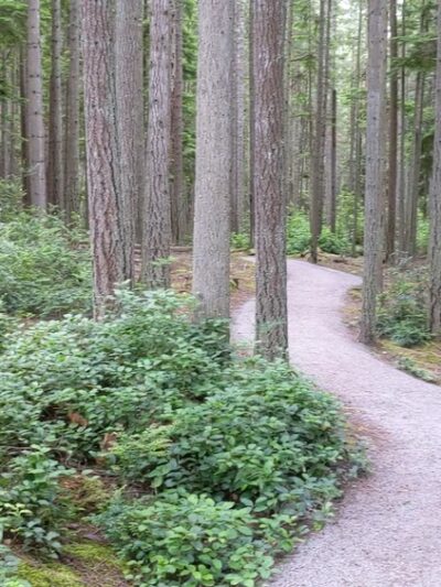 Trustland Trails - South Whidbey Parks & Recreation District - Langley, WA