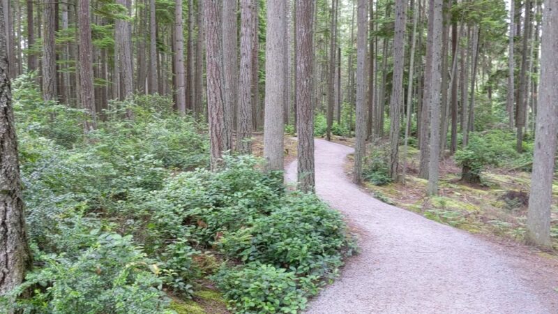 Trustland Trails - South Whidbey Parks & Recreation District - Langley, WA